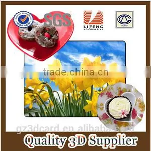 Advertising 3D Lenticular PP/PET Plastic Rubber Table Mat From China Facotry 2015 thumbnail-5