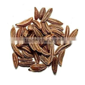 Caraway Oil thumbnail-1
