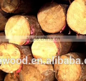 Southern Yellow Pine Logs thumbnail-2