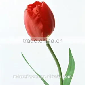 Graduation Occasion Natural Flowers Red Mini Tulip With High Quality thumbnail-6