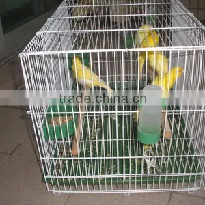 Bird Cage thumbnail-3