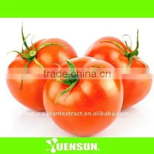 Pesticide-free--Tomato P.E Powder / Lycopene 20% HPLC thumbnail-1