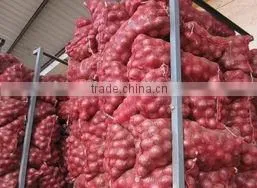 Low Price Fresh Yellow and Red Onion thumbnail-2