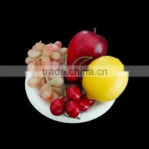 Plates Dinnerware Type Disposable Eco-Friendly Feature Biodegradable Plate Container thumbnail-2