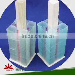 Microscope Prepared Slides ,Seed Slides, Seedling Prepared Slides thumbnail-5