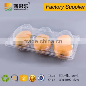 Transparent PET Plastic 3 Mango Box and Tray thumbnail-3