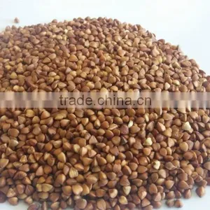 2016 Crop ---Roasted Buckwheat Kernels thumbnail-2
