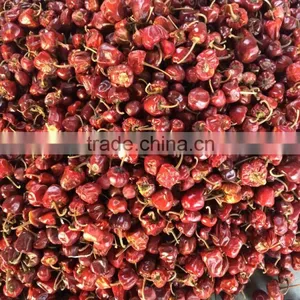 Round Red Chille Pepper thumbnail-5