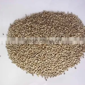 MILLET (BAJRA) thumbnail-2