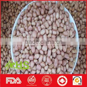 Fresh and New Blanched Peanut Kernel thumbnail-2