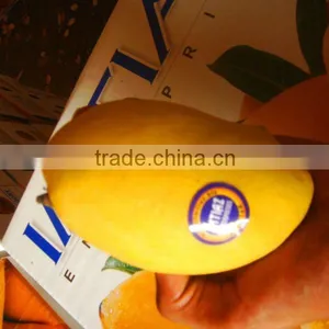 Mango From Pakistan thumbnail-1