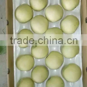 China Seasonal Fruit Asian Pear thumbnail-4