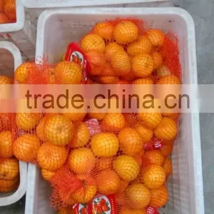 Chinese Fresh Mandarin Orange thumbnail-2