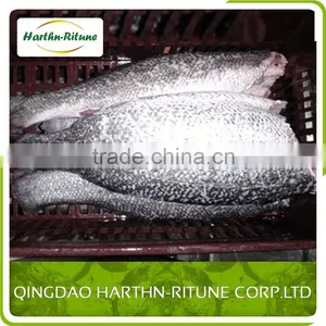 Iqf Frozen Tilapia Fillet Fish Wholesale thumbnail-4