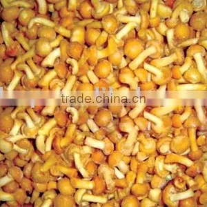 Indivadual Quick Frozen Nameko thumbnail-1