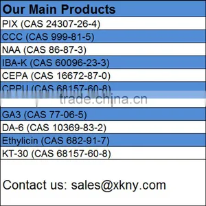 High Purity Plant Growth Regulator Compound Sodium Nitrophenolate 98% TC Supplied by Top Factory in China thumbnail-6