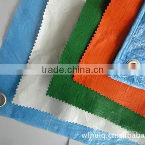 Blue Pe/pp Tarpaulin for Tent Truck Tarp thumbnail-1