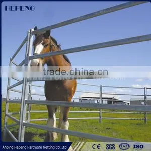 Horse Fence for Farm Security thumbnail-1