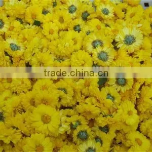 Flower Dryers / Flower Drying Machine thumbnail-3