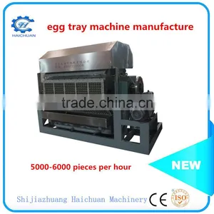 Egg Tray Making Machine Small in Changzhou thumbnail-3
