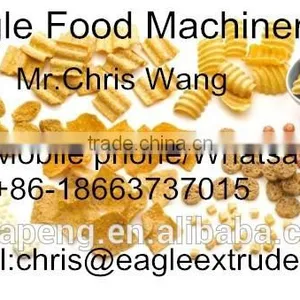Doritos Tortilla Making Machine, Corn Chips Production Line thumbnail-6
