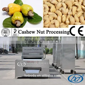 Grain Processing Equipment Type Cashew Nut Processing thumbnail-1
