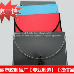 2017 New Design Modern Hot Selling A4 PP Foam Expanding File thumbnail-1
