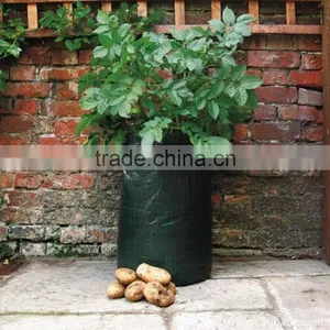 Tomato Grow Bag Planter, Handle or Without Handle Tomato Grow Bag Planter thumbnail-3