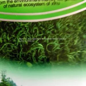 The Supply of China's Advanced Green Tea, Enshi Natural Selenium, Selenium Rich Tea, Health Tea, From the East of a Uniq thumbnail-2