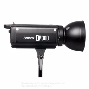 Godox DP300 Photography Studio Strobe Flash Light Power 110V/220V Light Lamp Head For Camera Studio thumbnail-4