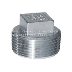 SQUARE PLUG Threaded Fitting Stainless Steel Square Plug China thumbnail-1