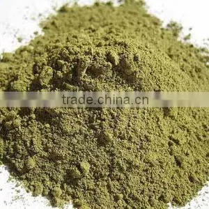 Premium Grade Cissus Quadrangularis Powder Sales And Export thumbnail-6