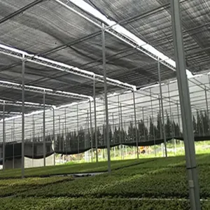 Black 50% Shade Rate Agricultural Shadow Mesh,greenhouse Shading Woven Shade Fabric,4m Wide HDPE Material Plastic Shade Netting thumbnail-1