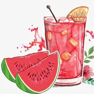 Watermelon Juice Production Line thumbnail-2