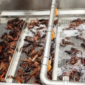 Crawfish Washing Machine Complete Sets of Crawfish Cleaning Cooking Processing Equipment Crawfish Production Line thumbnail-1