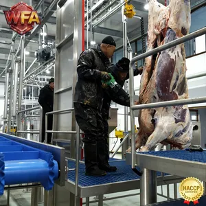 Halal Cattle Abattoir Machine Beef Slaughterhouse Equipment Automatic Bull Slaughtering Plant Professional Turnkey Project thumbnail-1