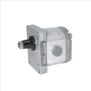 HYDROPA Gear Pump 2SPAS1B Stable Hydraulic Transmission Gear Pump thumbnail-1