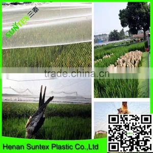 Light Weight Extruded New Hdpe Bird Netting Fruits Tree Covering Trellis Mesh thumbnail-5