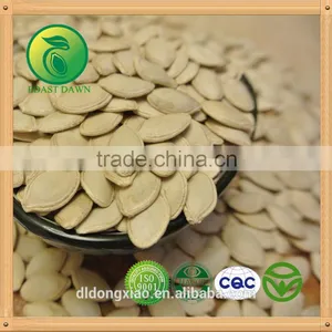 Shine Skin Pumpkin Seeds Greenhouse thumbnail-2