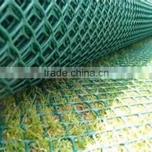 Grass Sod Reinforcement Net for Green Traffic Areas thumbnail-1