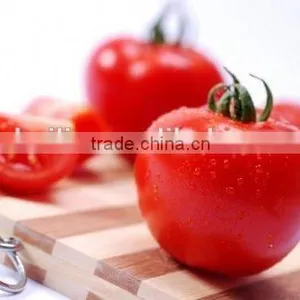 Tomato Paste thumbnail-5