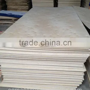 White Birch / Betula Platyphylla Plywood thumbnail-1