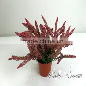 China Supplier Wholesale 2016 New Design Artificial Plant Bonsai for Bonsai With Competitive Price thumbnail-2