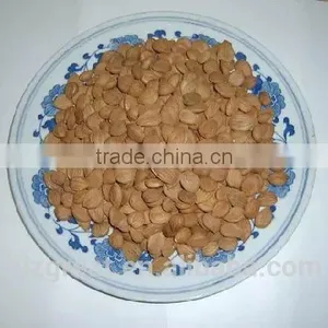 Supply With Chinese New Crop Bitter Apricot Kernels With Good Quality for Sales thumbnail-4