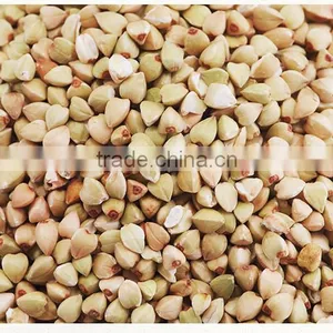 Chinese Non Gmo New Crop Roasted Buckwheat Kernel for Georgia Wholesale thumbnail-5