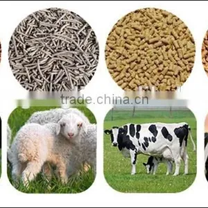 2016 High Quality Minimum Capacity 1-2 Tons per Hour Ring Die Animal Feed Pellet Machine thumbnail-4
