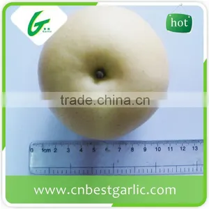 2016 New China Bulk Fresh Crown Pear thumbnail-2