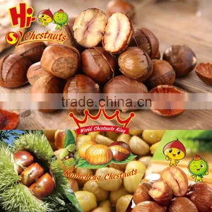 Frozen Roasted Chestnut In Shell IQF Roasted Chestnuts thumbnail-4