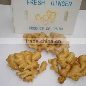 2016 Hot Sale Organic Fresh Ginger With High Quality thumbnail-6