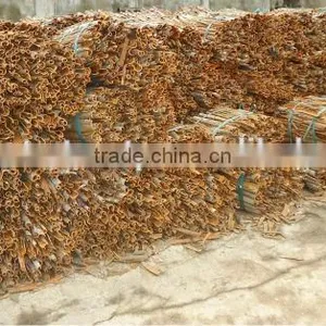 Cassia Split Vietnam Origin thumbnail-5